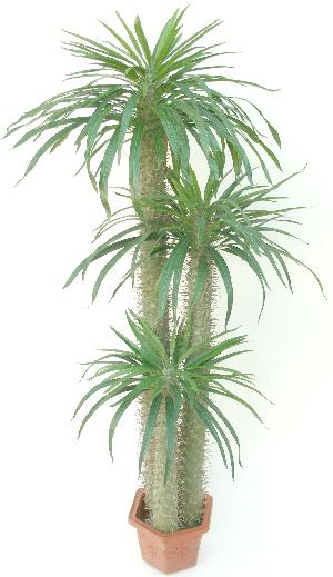 fake cactus