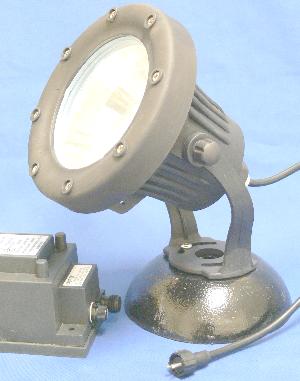 100W halogen pond light